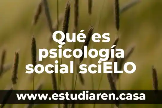 Qué es psicología social sciELO