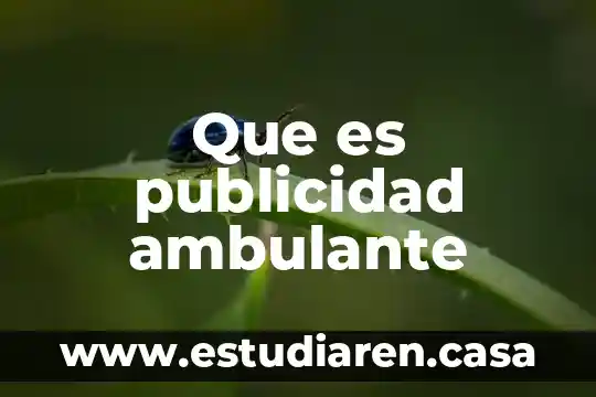 Que es publicidad ambulante