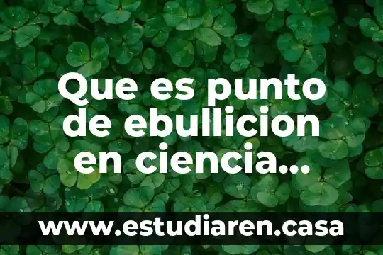 Física que es el punto de ebullición 3 Que es punto de ebullicion en ciencia fisica