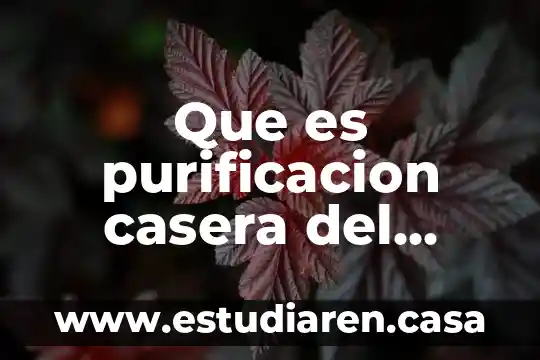 Que es purificacion casera del agua