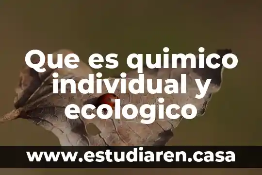 Que es quimico individual y ecologico