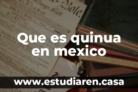 Que es belico concepto 4 Que es quinua en mexico