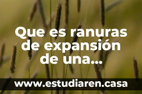 Que es ranuras de expansión de una computadora 19 Que es ranuras de expansión de una computadora