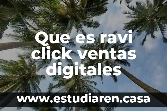 Qué es fuente información digitales 4 Que es ravi click ventas digitales
