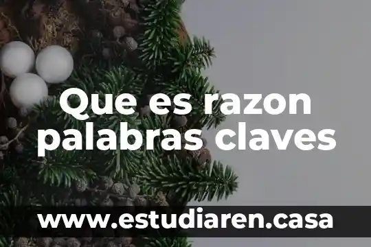 Bienestar en pocas palabras que es 4 Que es razon palabras claves