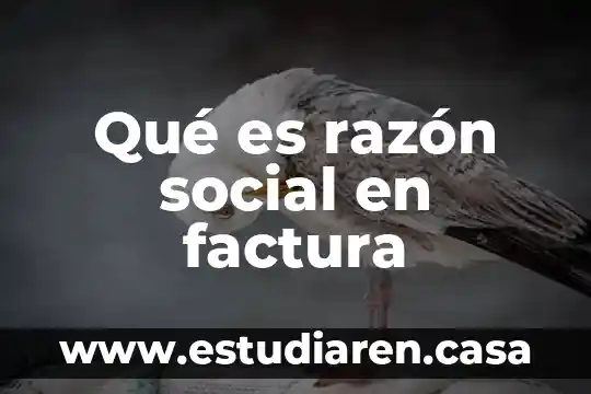 Qué es razón social en factura
