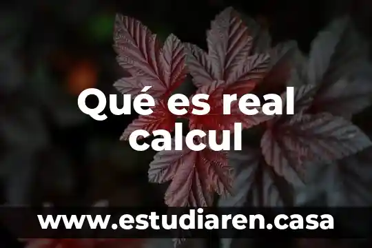 Qué es real calcul