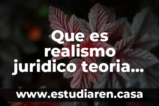 Que es realismo juridico teoria del estado