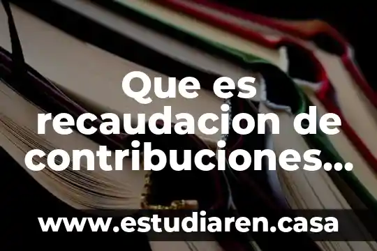 Qué es un sistema de recaudación en contabilidad gubernamental 5 Que es recaudacion de contribuciones y recursos federales