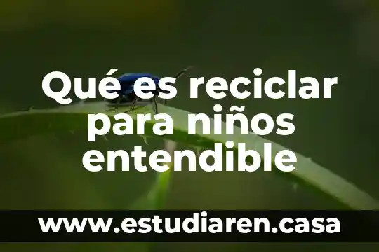 Por que es importante reciclar los pets 7 Qué es reciclar para niños entendible