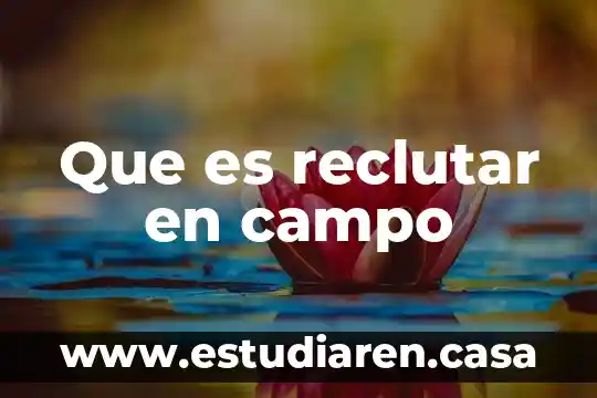 Qué es un campo de fonología 3 Que es reclutar en campo