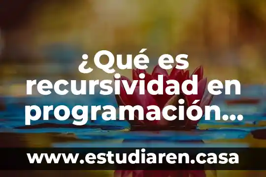 Que es el gdicharset en c 3 ¿Qué es recursividad en programación C++?