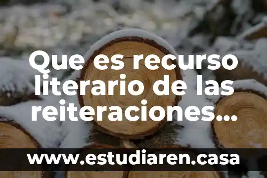 Que es un prestador de ultimo recurso 3 Que es recurso literario de las reiteraciones de palabras q