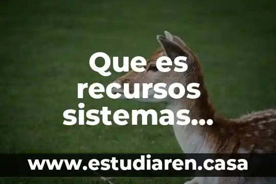 Que es la sobreexplotacion y mal uso de recursos naturales 4 Que es recursos sistemas economicos