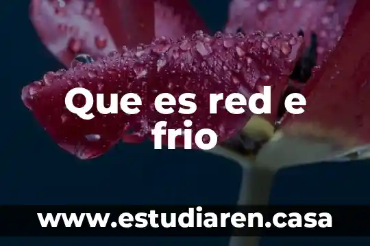 Que es la mascara de red y subred 3 Que es red e frio