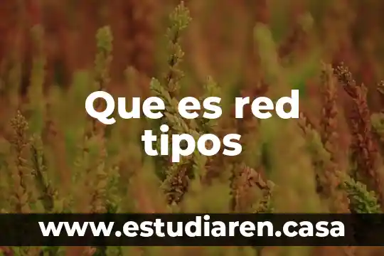 Que es red tipos