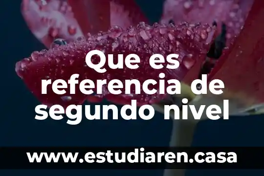 Que es hospitales son de segundo nivel estado de mexico 6 Que es referencia de segundo nivel