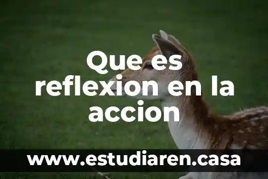 Qué es Acción de Gracias en EUA 5 Que es reflexion en la accion