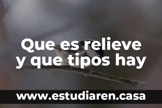 Que es un ensamble y tipos de ensamble 5 Que es relieve y que tipos hay