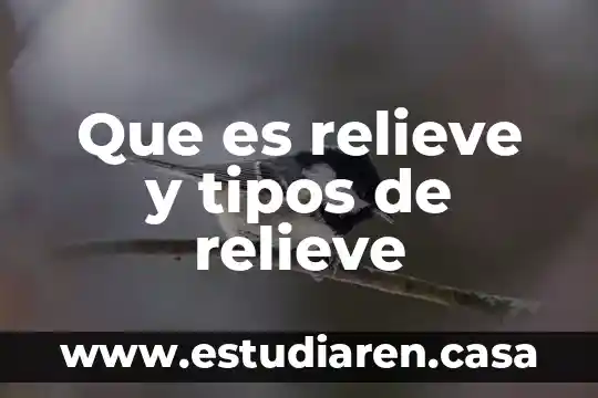 Que es relieve y tipos de relieve