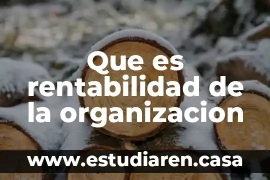 Que es rentabilidad de la organizacion