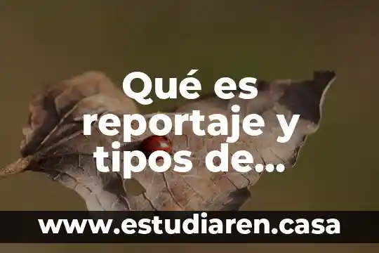 Qué es reportaje y tipos de reportaje