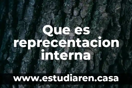 Que es una exploracion interna 3 Que es reprecentacion interna