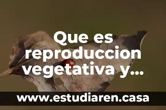 Que es reproduccion vegetativa y sus tipos
