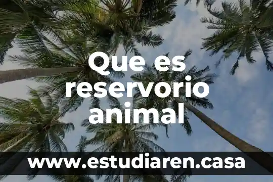 Que es reservorio animal