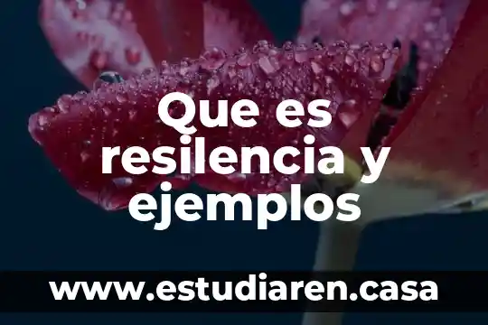 Que es resilencia y ejemplos