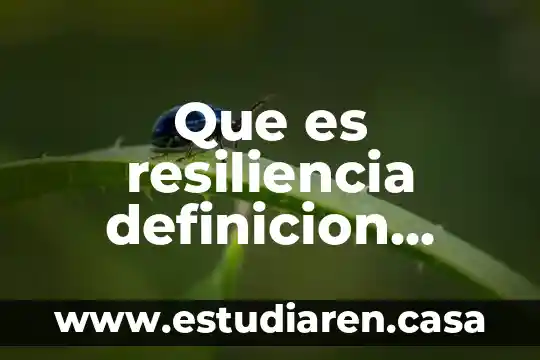Que es la resiliencia y porque es importante 7 Que es resiliencia definicion corta