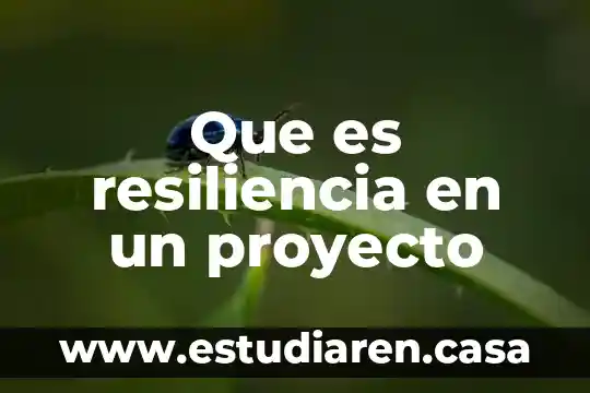 Que es la resiliencia y porque es importante 4 Que es resiliencia en un proyecto