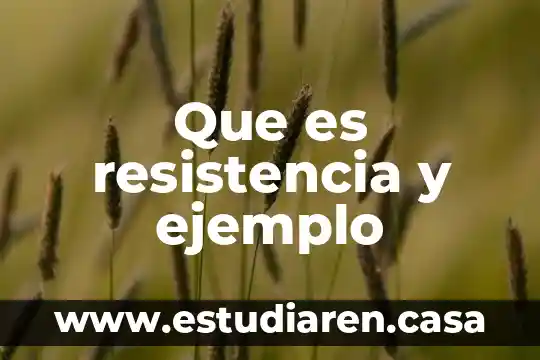 Que es hemerografia ejemplo 8 Que es resistencia y ejemplo