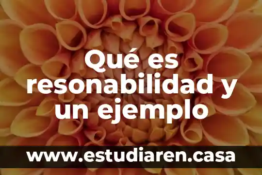 Que es un haiku y ejemplo 3 Qué es resonabilidad y un ejemplo