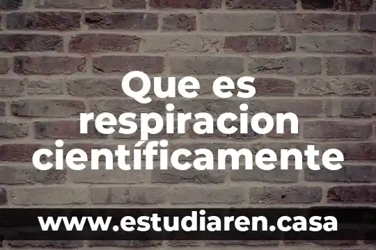 Qué es una parafrasis y sus elementos 5 Que es respiracion científicamente
