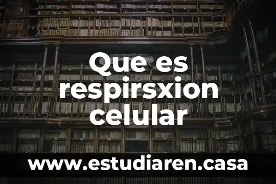 Que es respirsxion celular