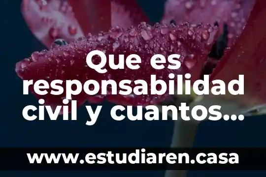 Que es responsabilidad civil y cuantos tipos hay