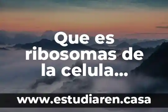 Que es ribosomas de la celula animal y su funcion