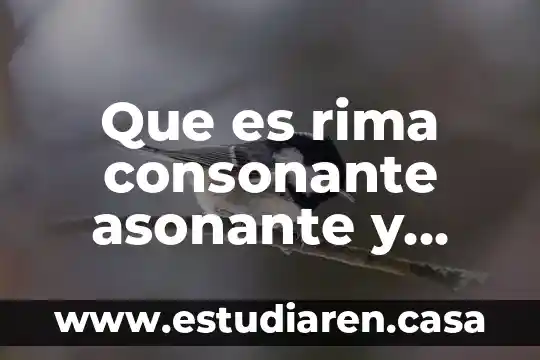 Que es una metafora analogia rima y juego de palabras 4 Que es rima consonante asonante y libre