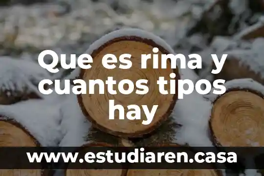 Que es rima y cuantos tipos hay