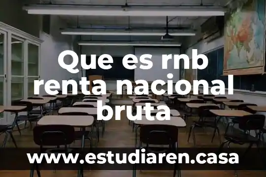 Que es rnb renta nacional bruta