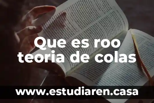 Qué es una fuente de entrada en teoría de colas 3 Que es roo teoria de colas