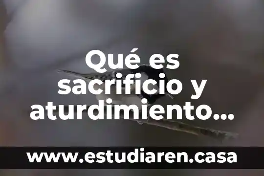 Qué es sacrificio y aturdimiento de un animal