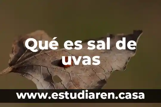 Para que es el agia con sal en perforaciones 4 Qué es sal de uvas