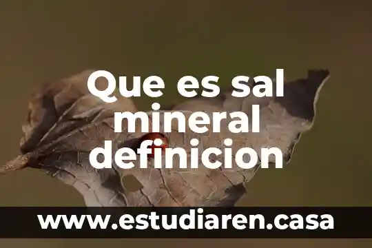 Que es sal mineral definicion