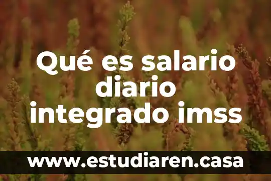 Que es respuesta de recuperacion segun imss 3 Qué es salario diario integrado imss