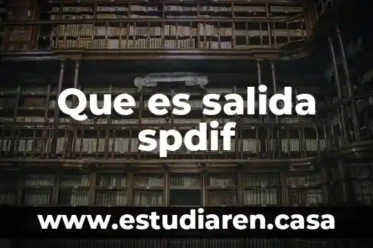 Que es un ingreso egreso salida entrada 8 Que es salida spdif