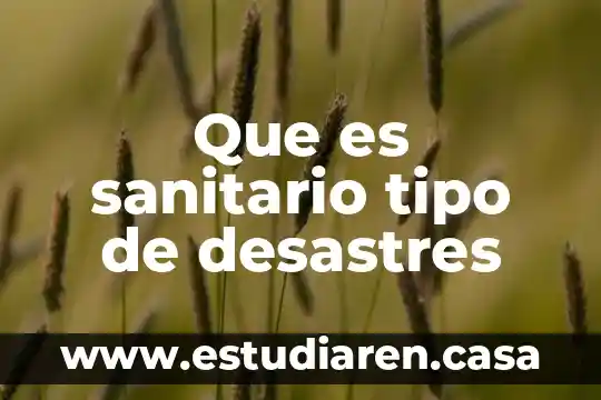 Que es el ambiente un cuento 6 Que es sanitario tipo de desastres