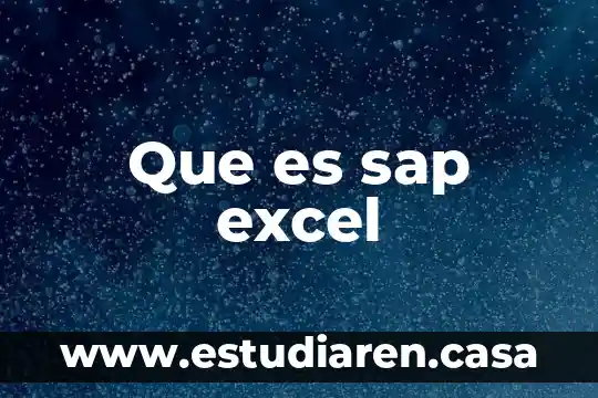 Que es sap excel