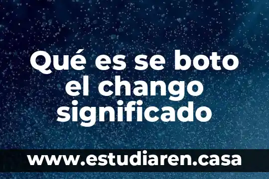 Que es al anon significado del logotipo 4 Qué es se boto el chango significado
